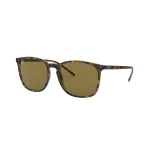 Rayban 4387